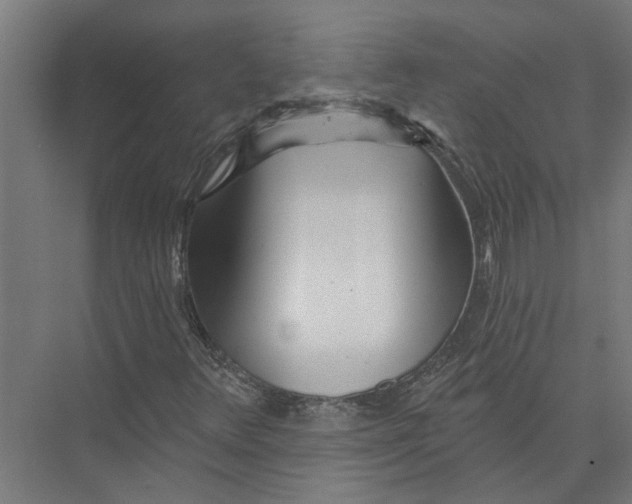 X0000075351348200610061710