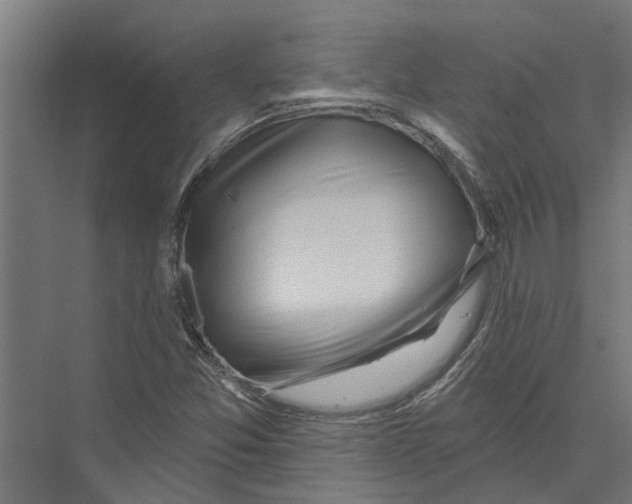 X0000075351357200610061710
