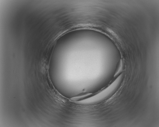 X0000075351361200610061710