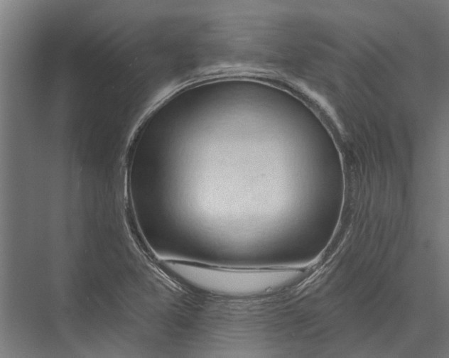X0000075351365200610061710