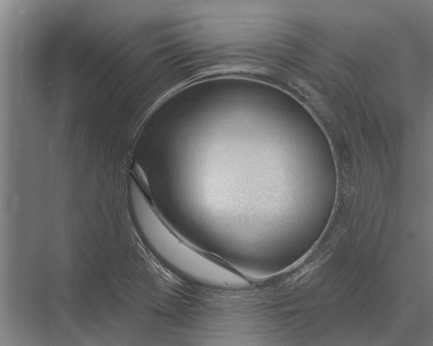 X0000075351369200610061710