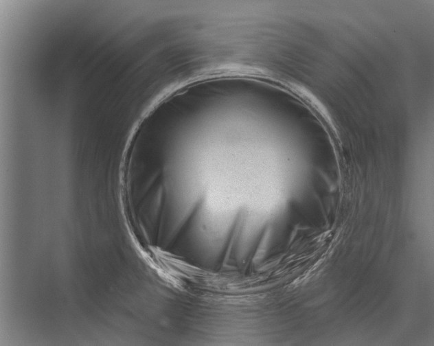 X0000075351381200610061709