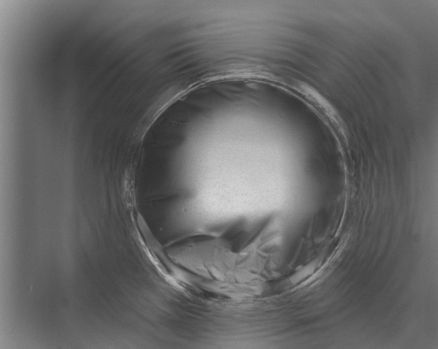 X0000075351385200610061709
