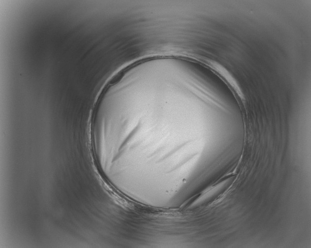 X0000075351388200610061709
