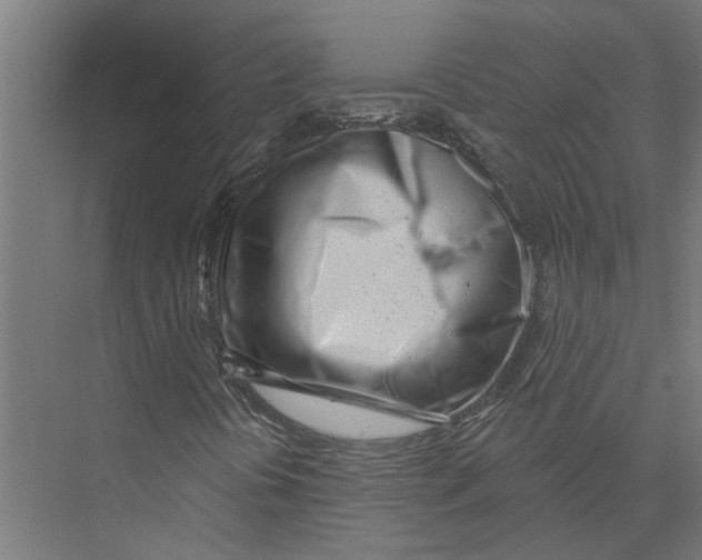X0000075351394200610061708