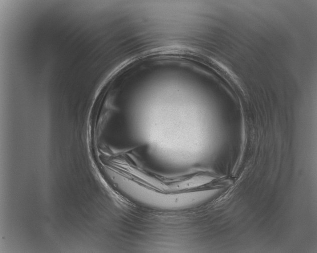 X0000075351418200610061709
