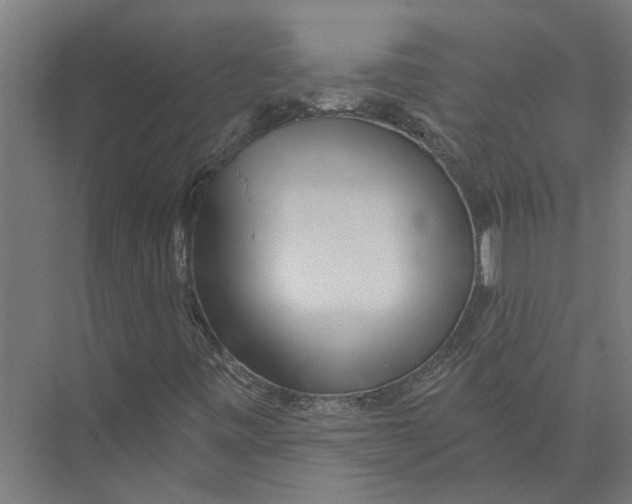 X0000075351443200610061708