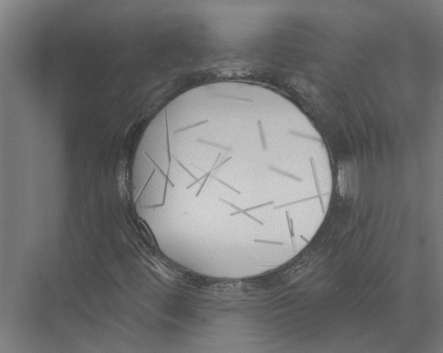 X0000075351444200610061708