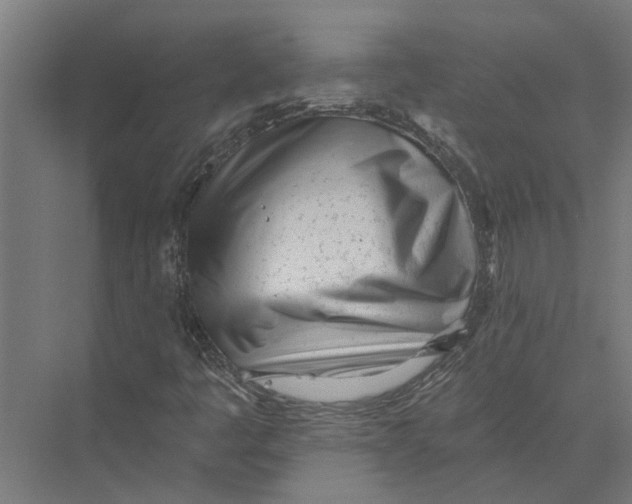 X0000075351445200610061708