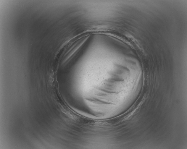 X0000075351449200610061708