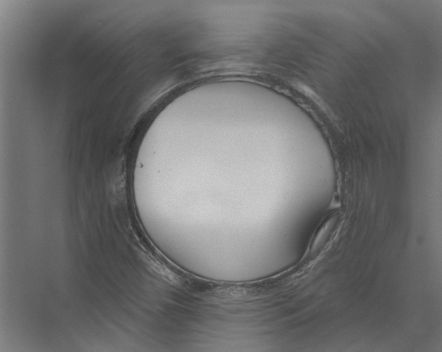 X0000075351450200610061708