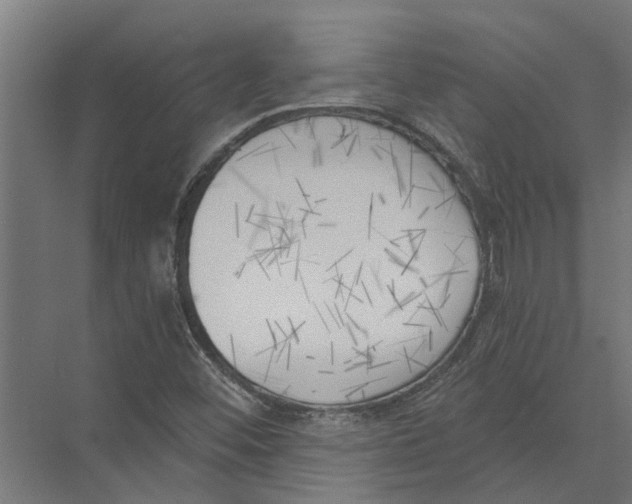 X0000075351452200610061708