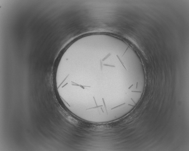 X0000075351460200610061708