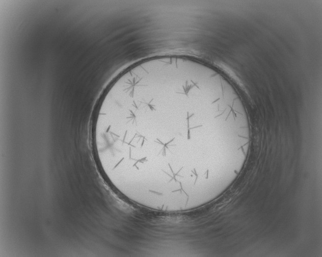 X0000075351468200610061708