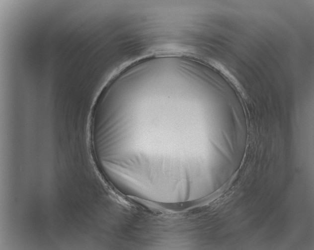 X0000075351477200610061708