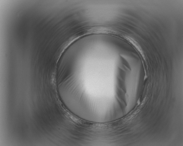 X0000075351481200610061708