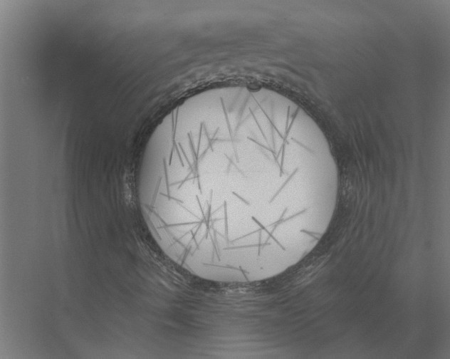 X0000075351490200610061707
