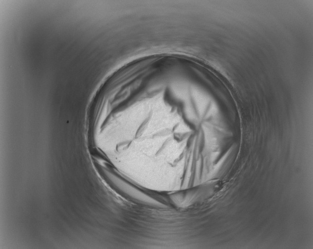 X0000075351508200610061707
