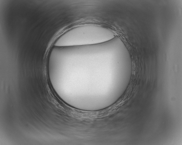 X0000075360004200609080850