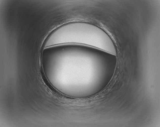 X0000075360011200609080850