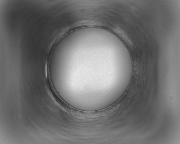 X0000075360014200609080850