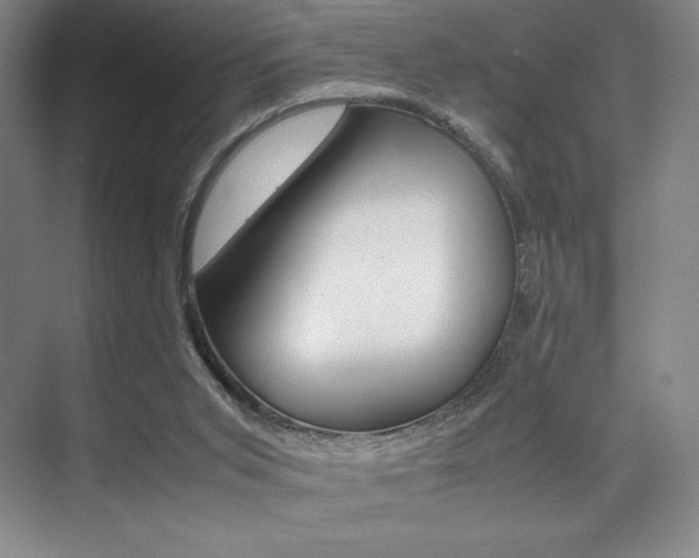 X0000075360015200609080850