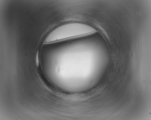 X0000075360020200609080850