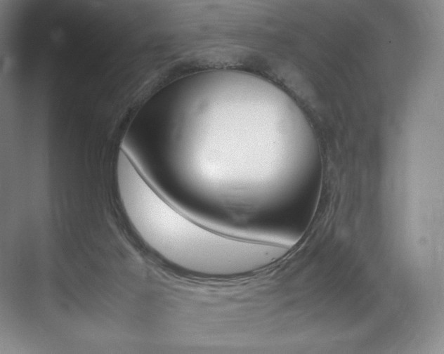 X0000075360021200609080850