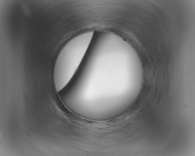 X0000075360024200609080850