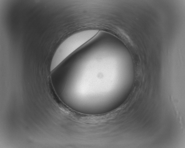 X0000075360025200609080850