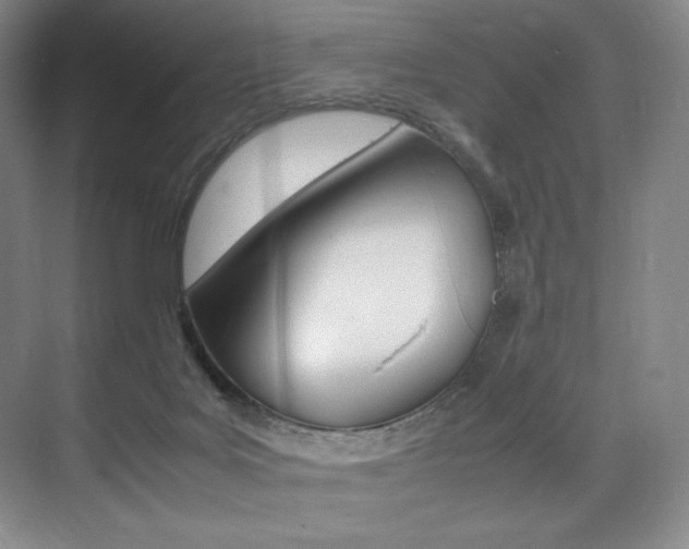 X0000075360027200609080850