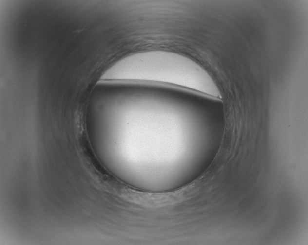 X0000075360031200609080850