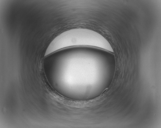X0000075360037200609080850