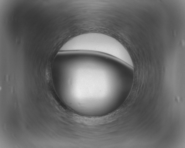 X0000075360039200609080850