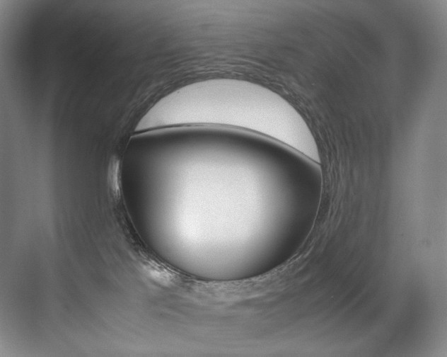 X0000075360041200609080850