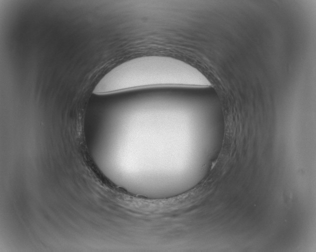 X0000075360043200609080850