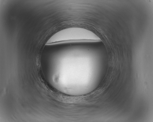 X0000075360044200609080850