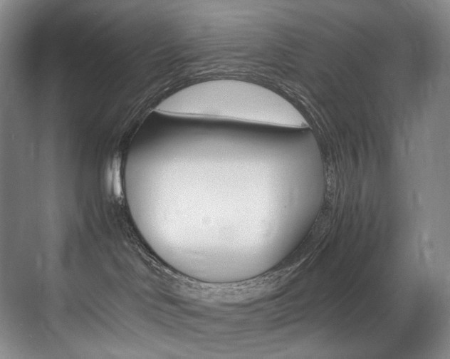 X0000075360046200609080850