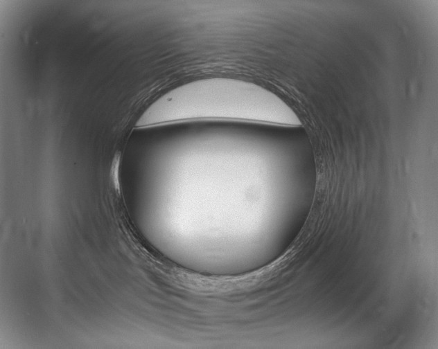 X0000075360047200609080850