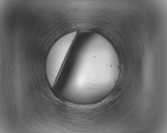 X0000075360048200609080850