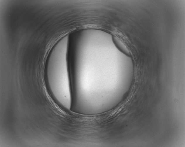 X0000075360049200609080849