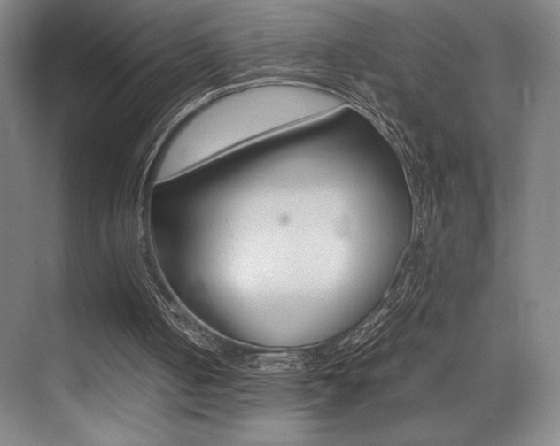 X0000075360050200609080849