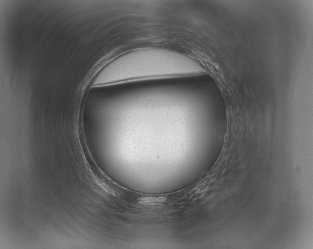 X0000075360051200609080849