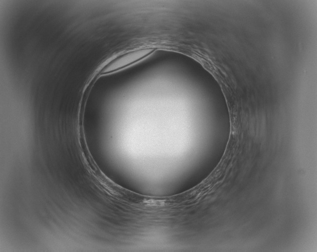 X0000075360052200609080849