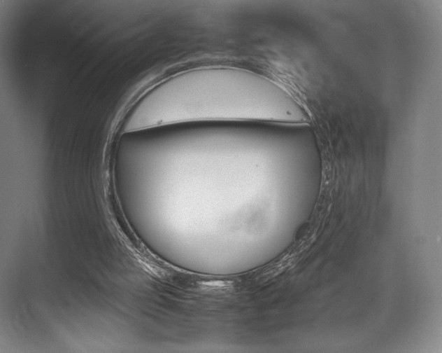 X0000075360053200609080849
