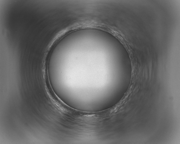X0000075360054200609080849