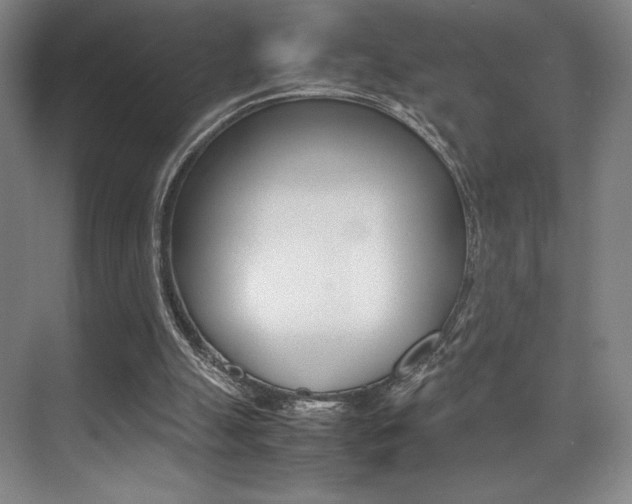 X0000075360055200609080849