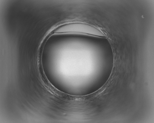 X0000075360056200609080849