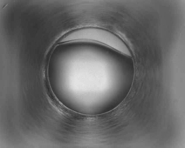 X0000075360060200609080849