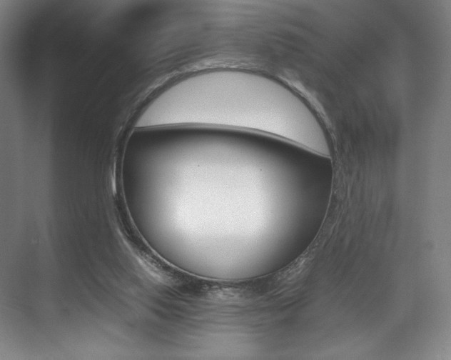 X0000075360062200609080849